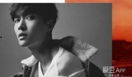 艺兴最新爆料新闻,揭秘娱乐圈幕后真相